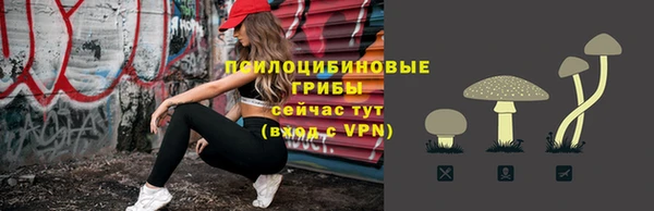 COCAINE Богородск