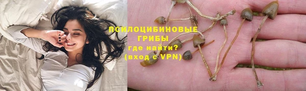 2c-b Богородицк