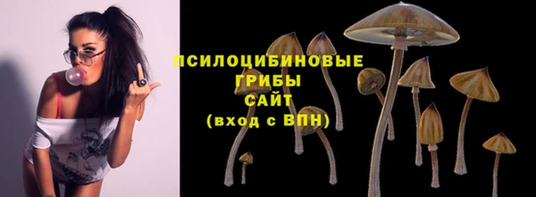 2c-b Богородицк