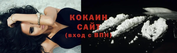 2c-b Богородицк