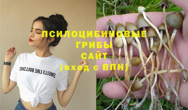 мет Богданович