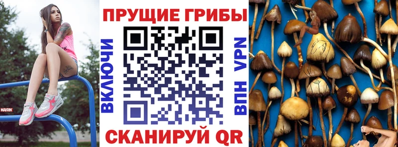 Псилоцибиновые грибы MAGIC MUSHROOMS  кракен tor  Константиновск  где найти наркотики 