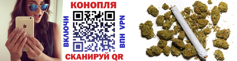 Каннабис гибрид  Константиновск 